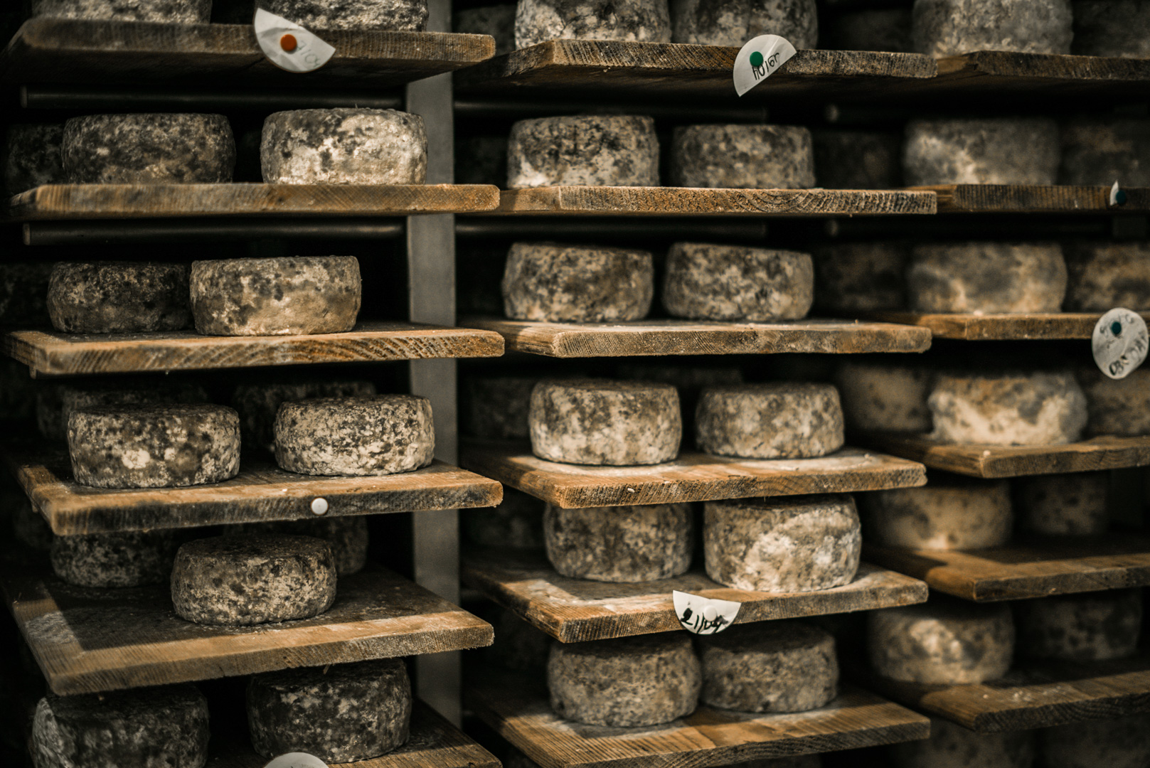 Animation Bergerie des Fées le samedi 13 mai 2023 au magasin des producteurs Ô Champs Paysans à Collonges-sous-Salève