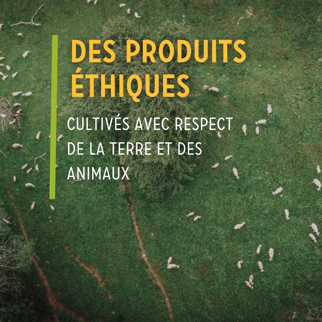 Toute l'équipe d'Ô Champs Paysans