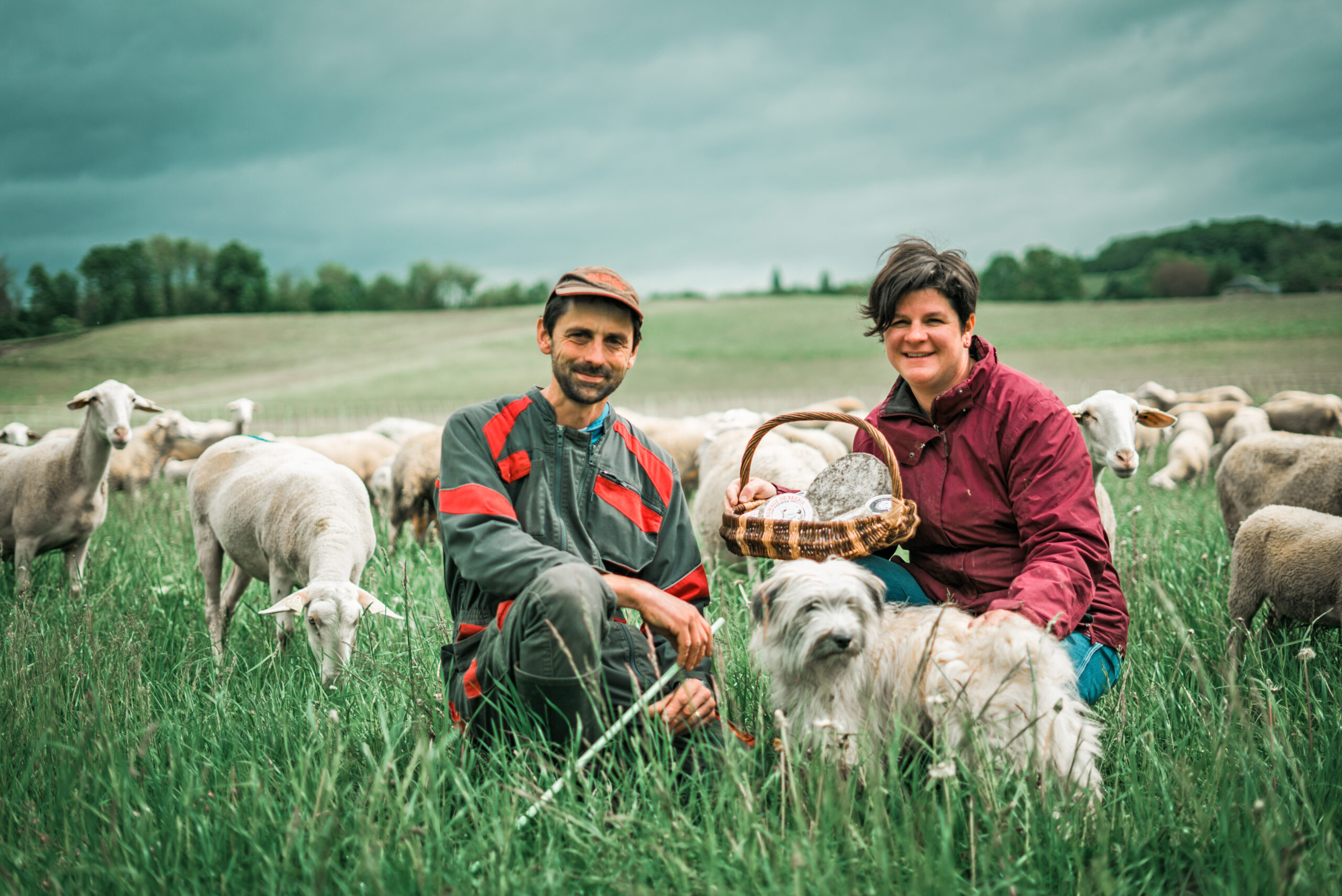 Catherine, Antonin et Céline dans les pâtures de la Ferme de Montailloux, producteurs de fromages de chèvres à retrouver chez Ô Champs Paysans à Collonges-sous-Salève en Haute-Savoie