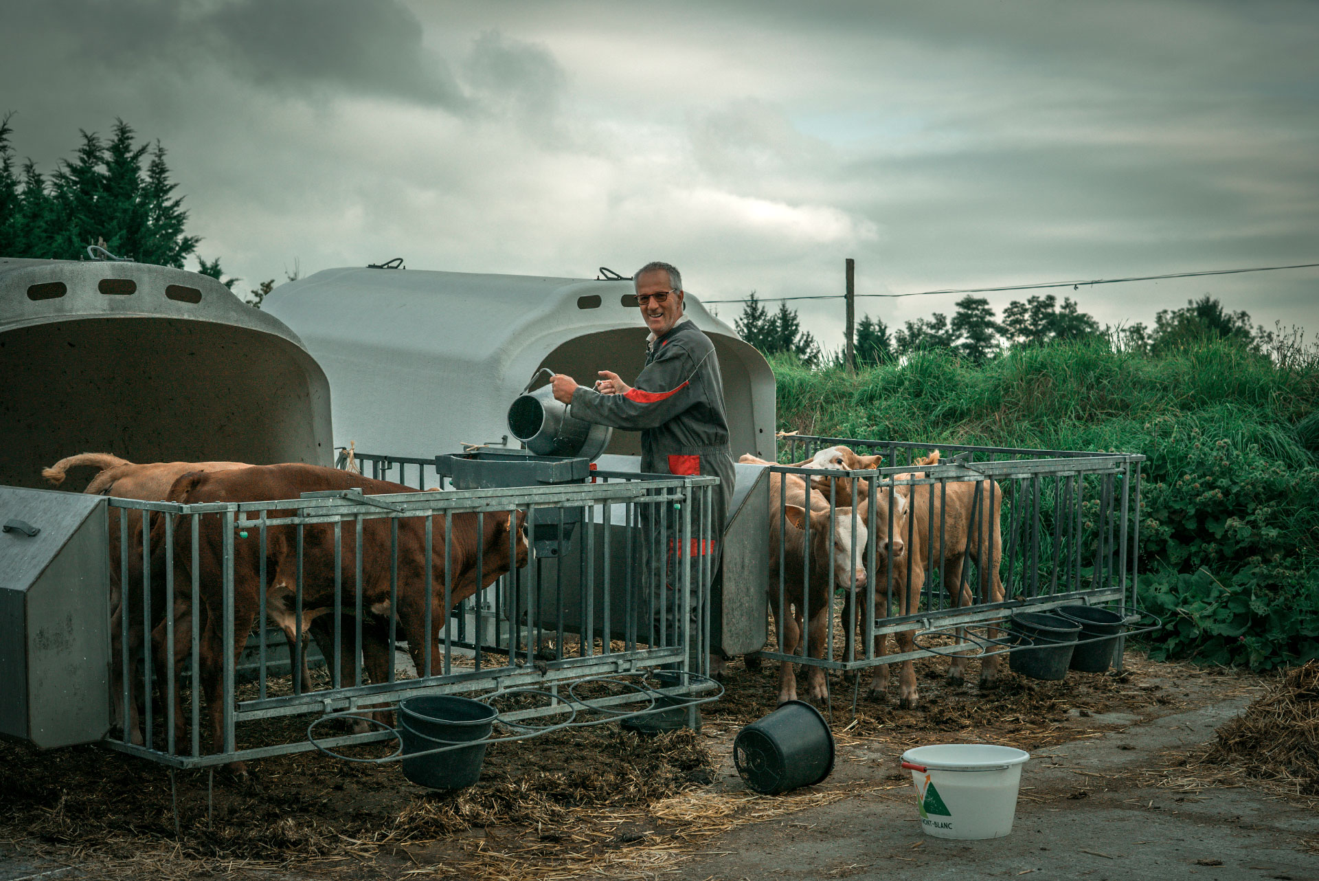 Jean-Marc soigne ses veaux nourris au lait de vache a retrouver au magasin Ô Champs Paysans à Collonges-sous-Salève en Haute-Savoie