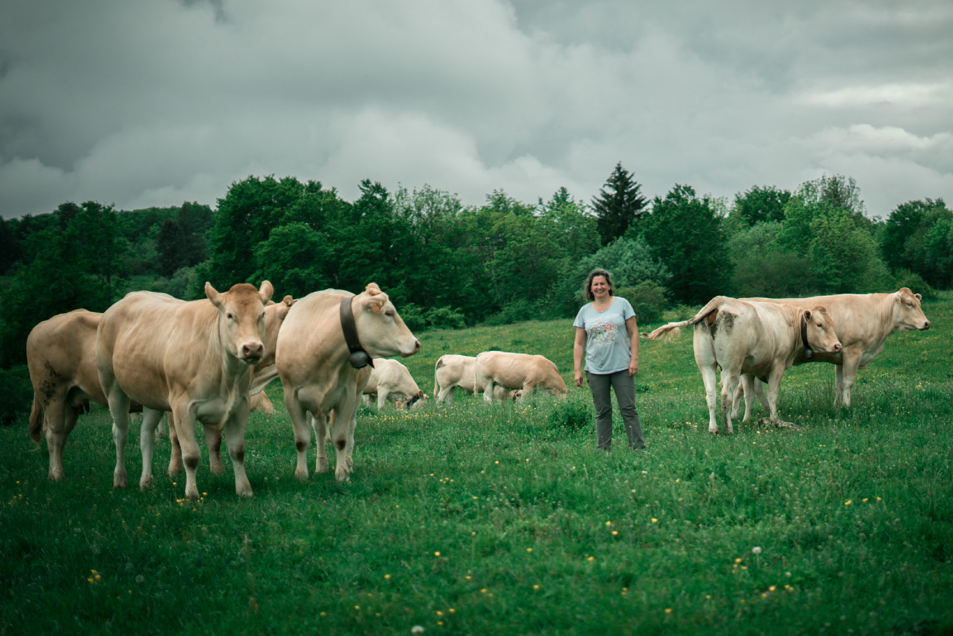 Virginie Mandallaz et ses blondes d'aquitaine en alpages, productrice de viande pour Ô Champs Paysans à Collonges-sous-Salève en Haute-Savoie