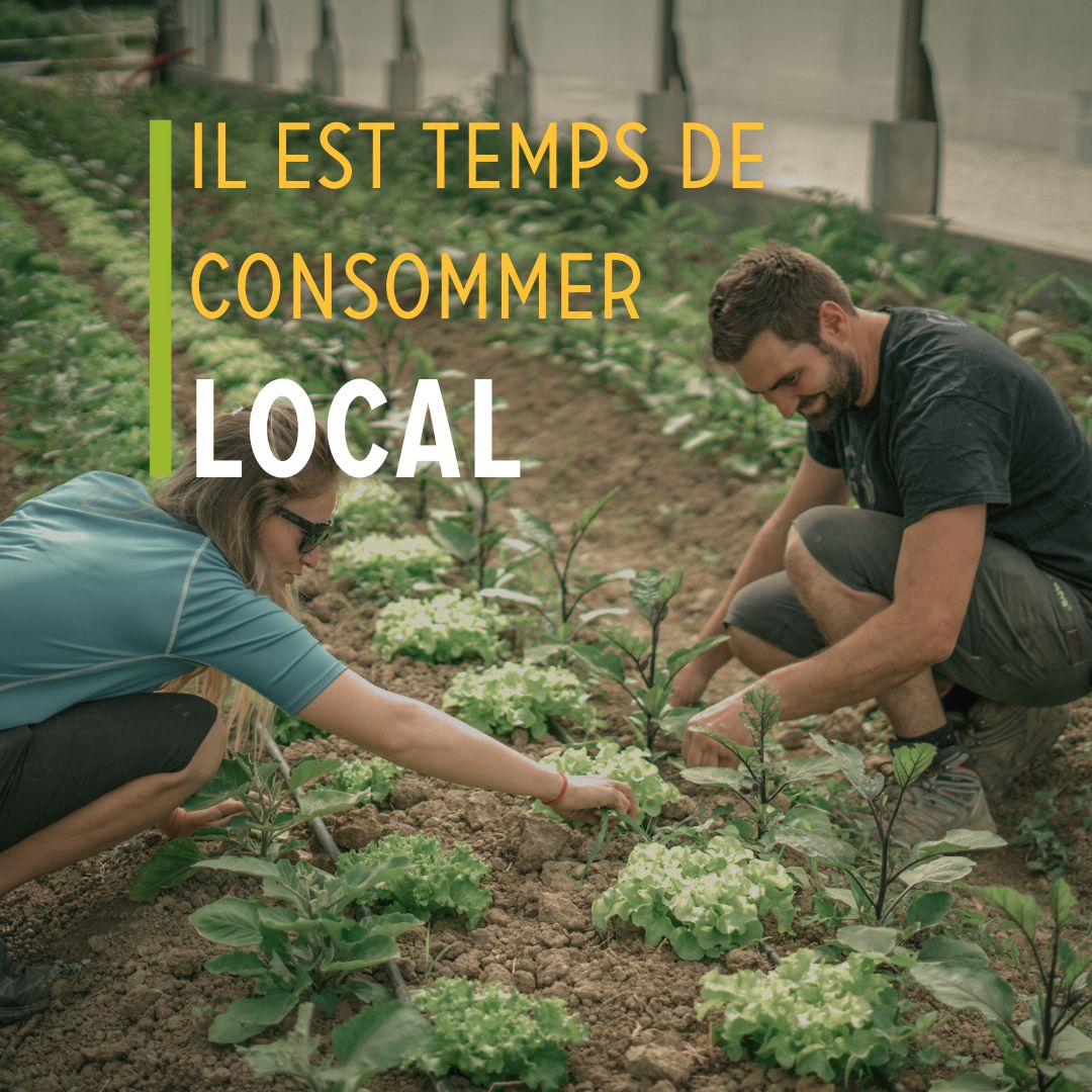 Toute l'équipe d'Ô Champs Paysans